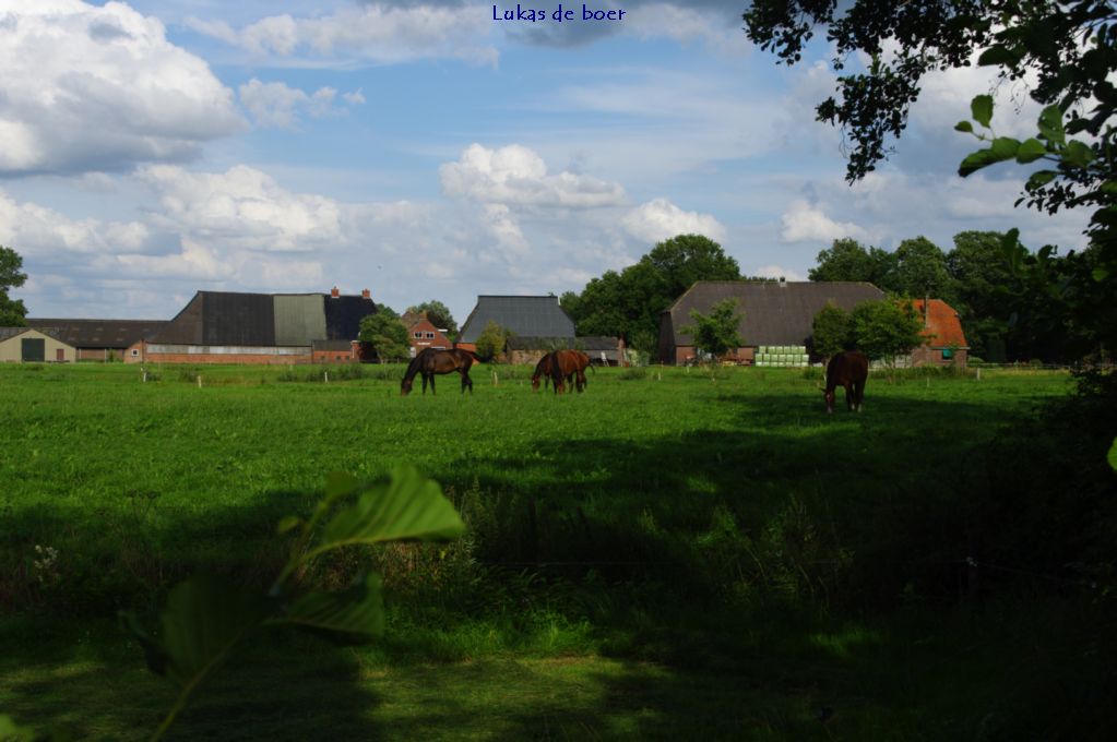 tour 2010 (5).jpg - noordelijk achter De Ring langs